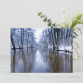 Winterbos met prachtige stream (Staand voorkant)