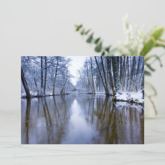 Winterbos met prachtige stream (Staand voorkant)