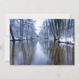 Winterbos met prachtige stream