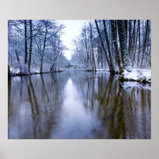 Winterbos met prachtige stream poster (Voorkant)
