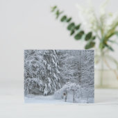 Winterbos met sneeuw bedekte landschapsfotografie briefkaart (Staand voorkant)