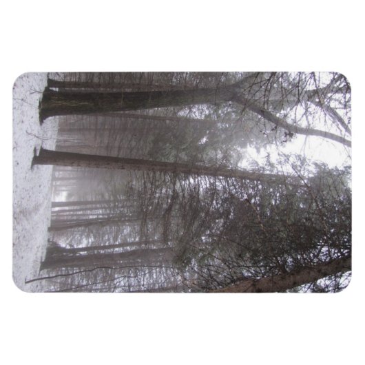 Winterbos pad magneet (Horizontaal)