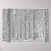 winterbos poster (Voorkant)
