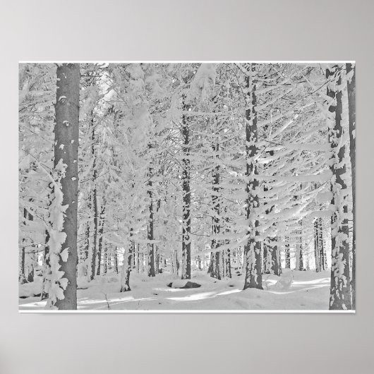 winterbos poster (Voorkant)