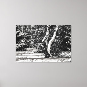 Winterbos, sneeuw-, baars- en sparserijbomen canvas afdruk