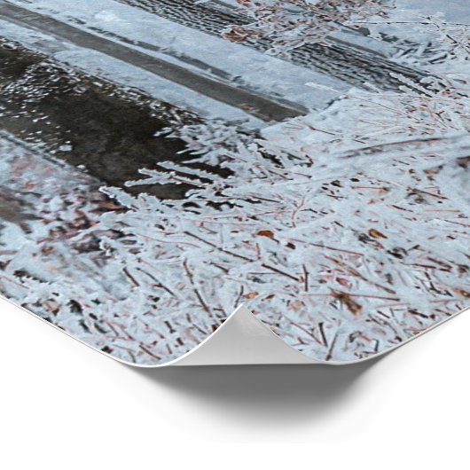 Winterbosbomen #21 poster (Hoek)