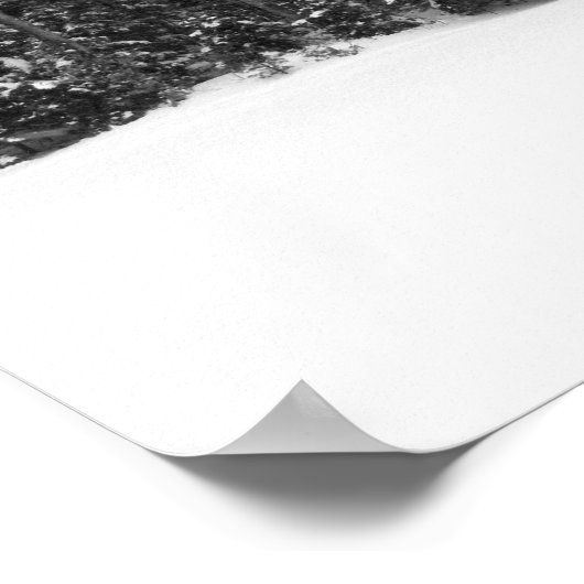 Winterbosbomen met vallende sneeuw poster (Hoek)