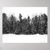 Winterbosbomen met vallende sneeuw poster (Voorkant)