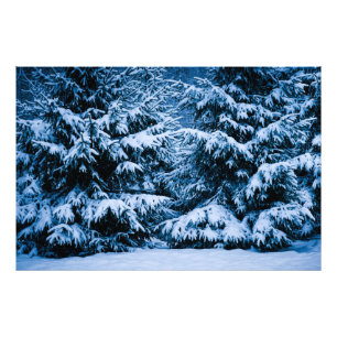 Winterboskerstboom Foto Afdruk