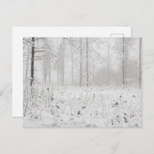 Winterboslandschap met sneeuwwinterbomen feestdagenkaart (Voorkant / Achterkant)