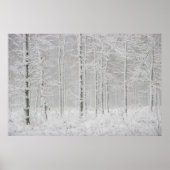 Winterboslandschap met sneeuwwinterbomen poster (Voorkant)