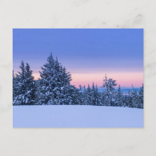 Winterboslandschap op zonsondergang briefkaart