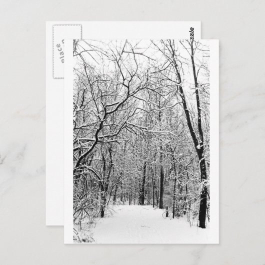 WinterBossen Briefkaart (Voorkant / Achterkant)