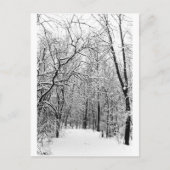 WinterBossen Briefkaart (Voorkant)