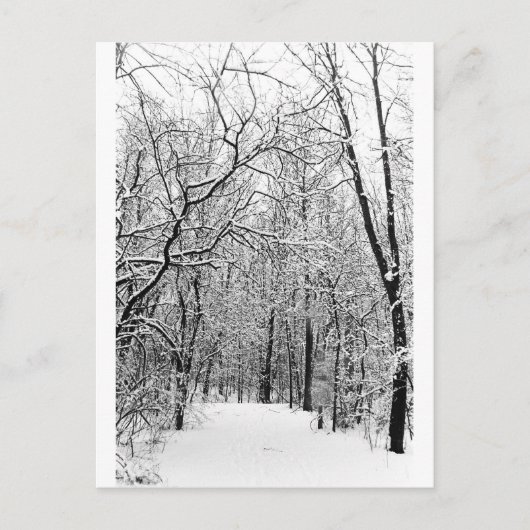 WinterBossen Briefkaart (Voorkant)