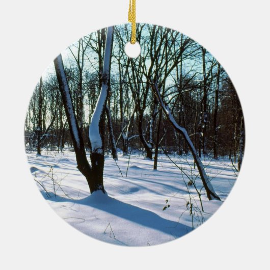 WinterBossen Ornament (Achterkant)