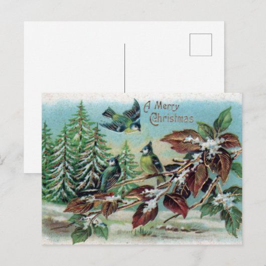 winterbosvogels met prettige kerstdagen briefkaart (Voorkant / Achterkant)