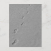 WinterBriefkaart! Briefkaart (Voorkant)