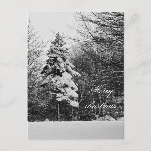 Winterbriefkaart Feestdagenkaart (Voorkant)