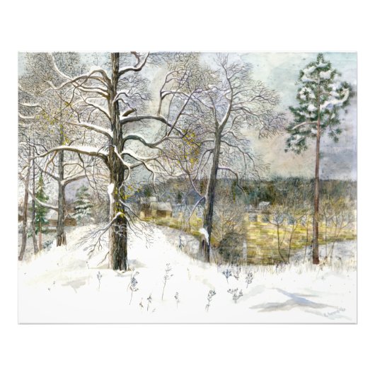 winterbrug foto afdruk (Voorkant)