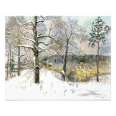 winterbrug foto afdruk (Voorkant)