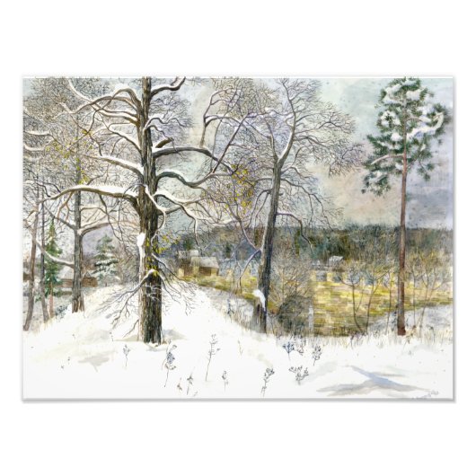 winterbrug foto afdruk (Voorkant)