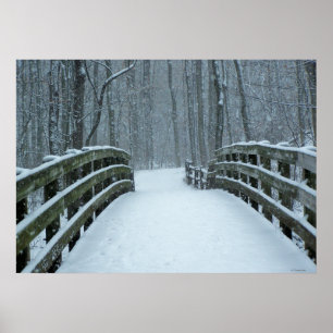 Winterbrug Poster