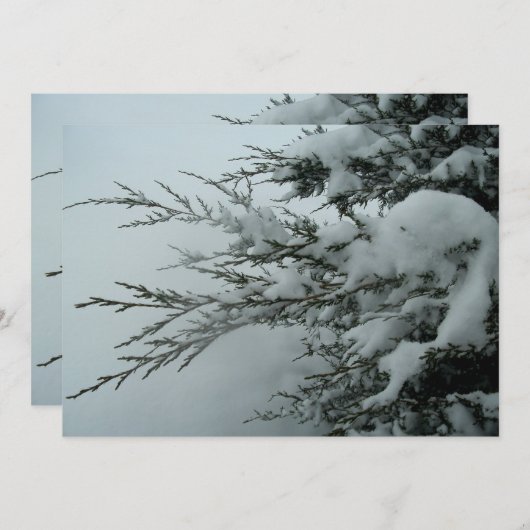 Winterbruiloft Evergreen - boom met sneeuw Kaart (Voorkant / Achterkant)