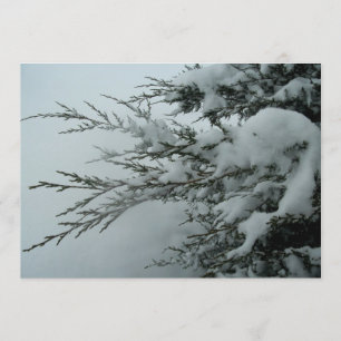 Winterbruiloft Evergreen - boom met sneeuw Kaart