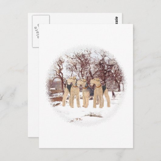 Winterdag Briefkaart (Voorkant / Achterkant)