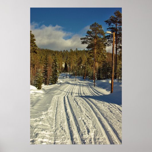 Winterdag in Zweden Poster (Voorkant)