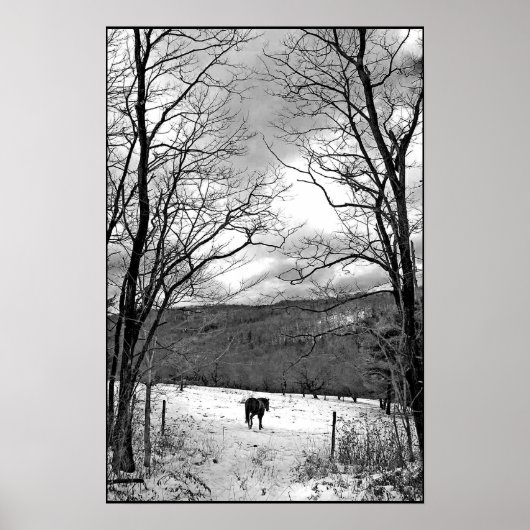 Winterdag Poster (Voorkant)
