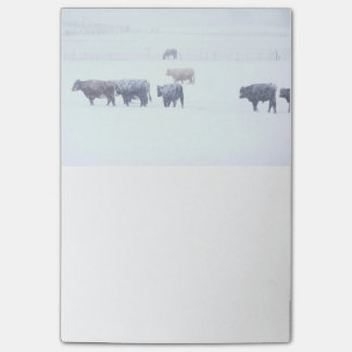 Winterdagen Post-it® Notes