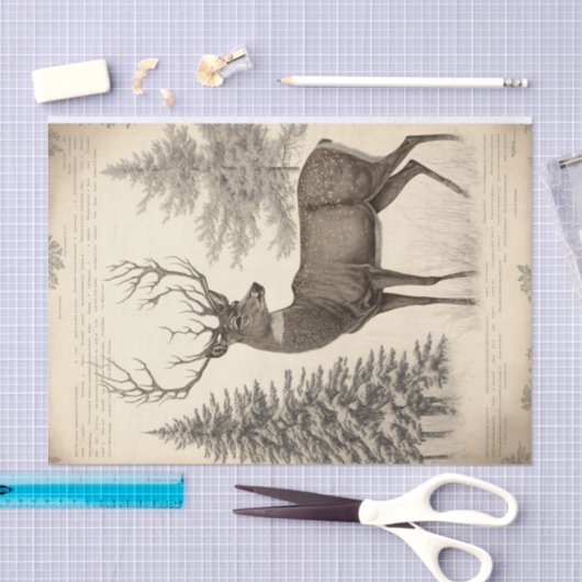  Winterdeer Tissuepapier (Craft)