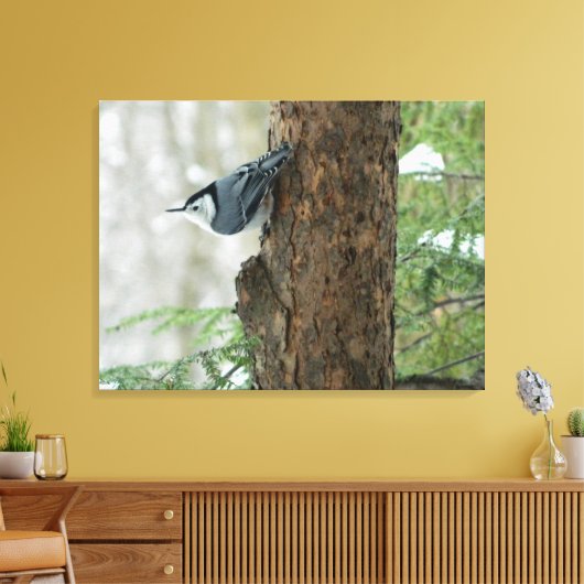 Winterdennen- Witte Borstvormige Nuthatch Canvas P (Insitu (Woonkamer))