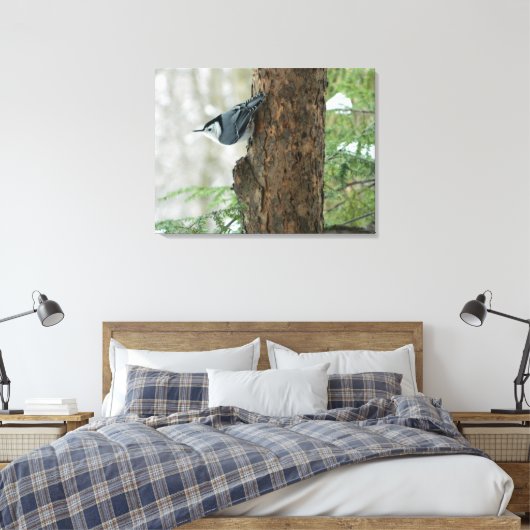 Winterdennen- Witte Borstvormige Nuthatch Canvas P (Insitu (Slaapkamer))