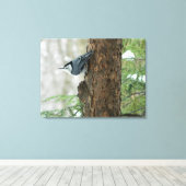 Winterdennen- Witte Borstvormige Nuthatch Canvas P (Insitu (Houten vloer))