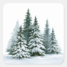 Winterdennenbomen