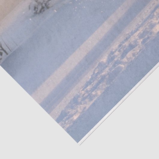 winterdepapier voor paardeweefsel tissuepapier (Detail)