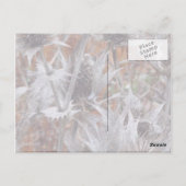Winterdistel - Dank u Kaart (Achterkant)