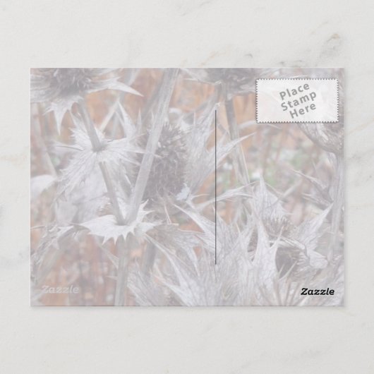 Winterdistel - Dank u Kaart (Achterkant)