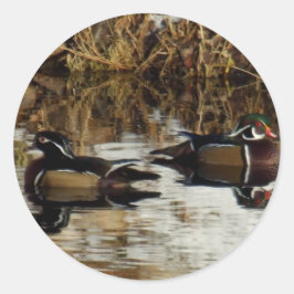 Winterducks14by11 Ronde Sticker