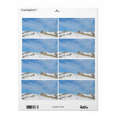 Winterduinen landschap etiket (Full Sheet)