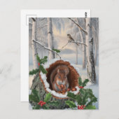 Wintereekhoorn Briefkaart (Voorkant / Achterkant)