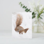 Wintereekhoorn Briefkaart (Staand voorkant)