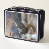 Wintereekhoorn, bruin dier, Canadese foto (Achterkant)