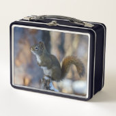 Wintereekhoorn, bruin dier, Canadese foto (Voorkant)