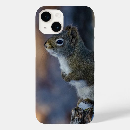 Wintereekhoorn, bruin dier, Canadese foto Case-Mate iPhone Case (Achterkant)