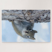Wintereekhoorn, bruin dier, Canadese foto Legpuzzel (Horizontaal)