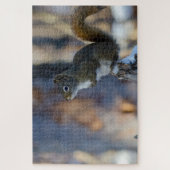 Wintereekhoorn, bruin dier, Canadese foto Legpuzzel (Verticaal)